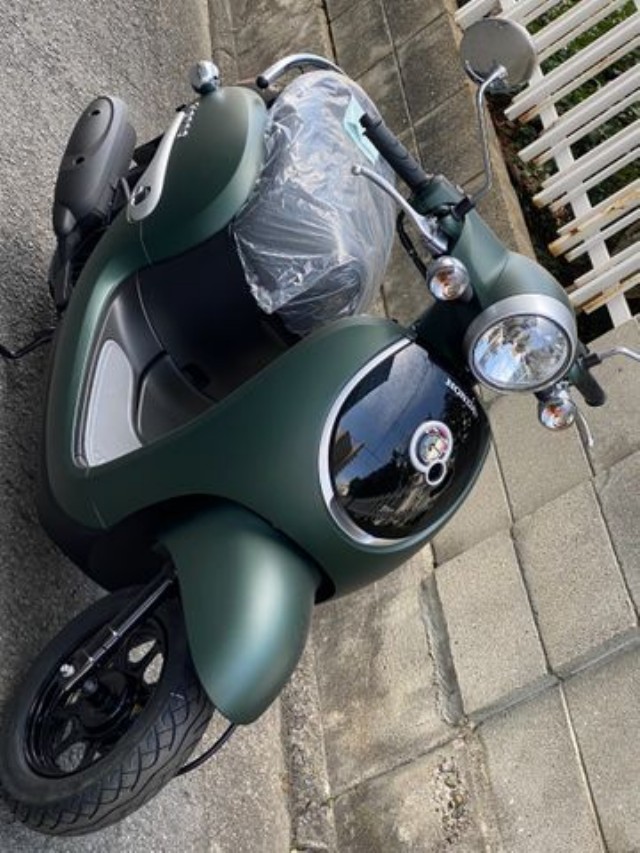 �z���_�W�����m�i���Q�����R�s�j�摜3