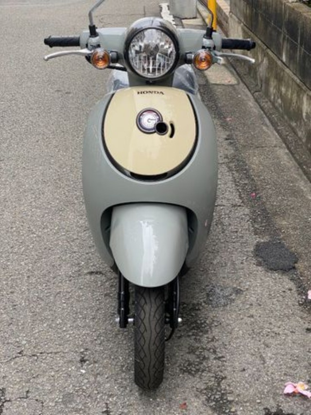 �z���_�W�����m�i���Q�����R�s�j�摜5