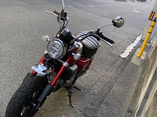 �z���_�����L�[125�i���Q�����R�s�j�摜5