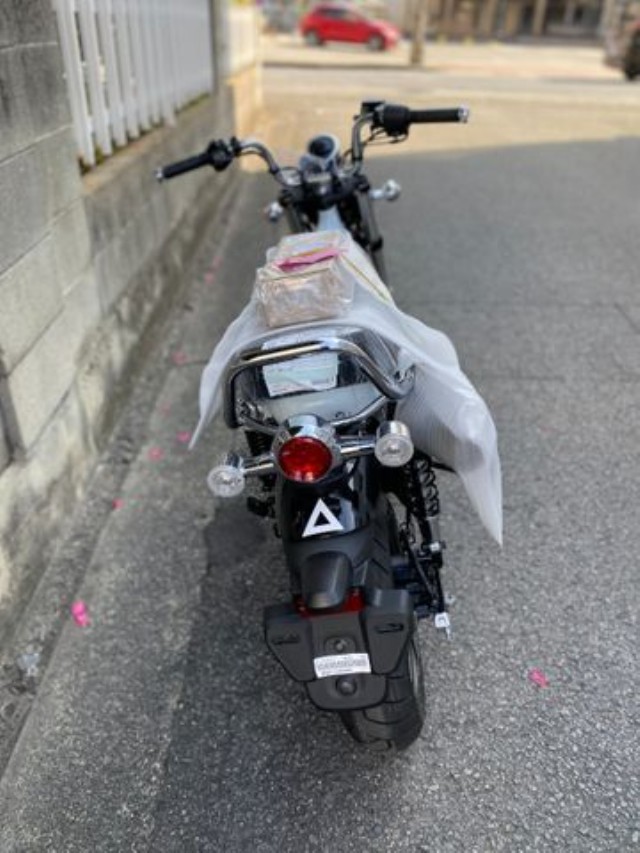 �z���_�W�����m�i���Q�����R�s�j�摜26