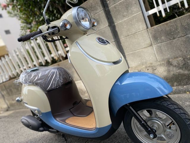 �z���_�W�����m�i���Q�����R�s�j�摜10