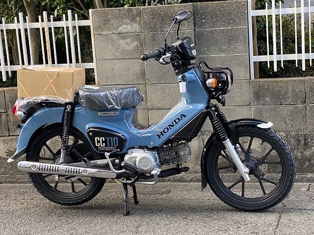 �z���_�N���X�J�u110�i���Q�����R�s�j�摜2