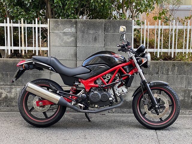 z_VTR250iQRsj摜1