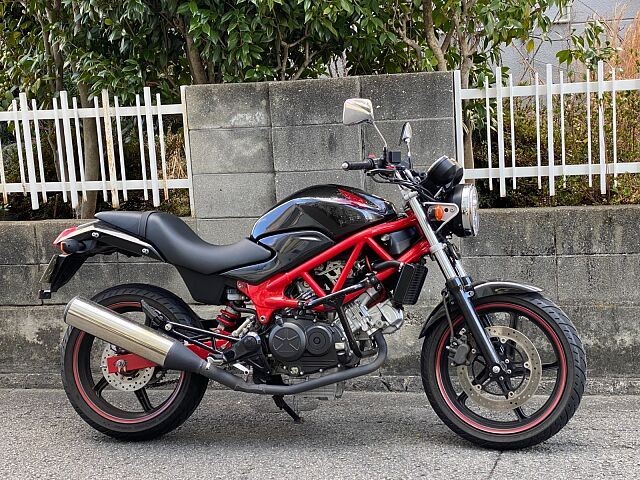 z_VTR250iQRsj摜2