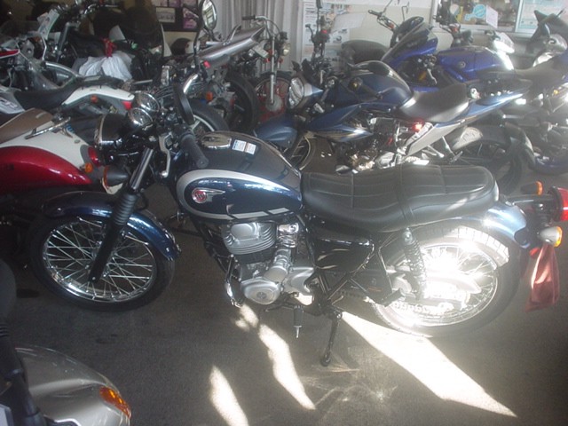 �J���T�LW230�i���Q�����R�s�j�摜2