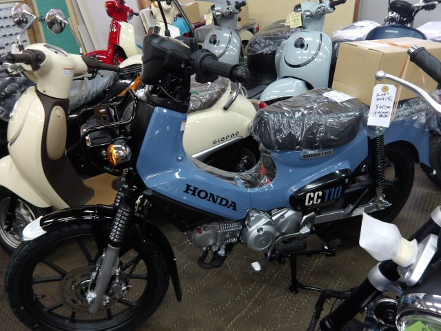 �z���_�N���X�J�u110�i����������s�j�摜2