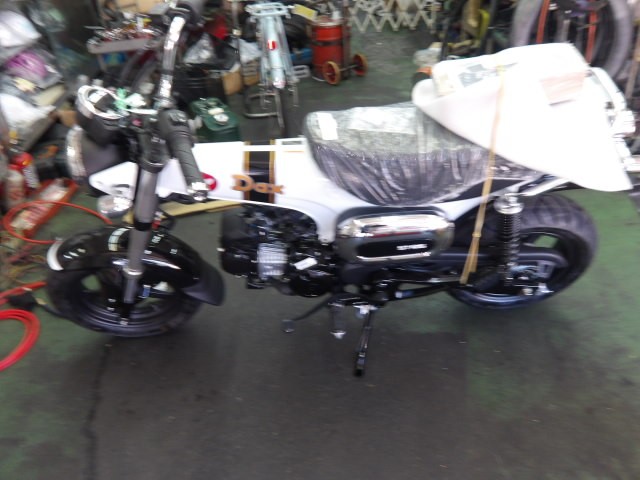 �z���_�_�b�N�X125�i����������s�j�摜3