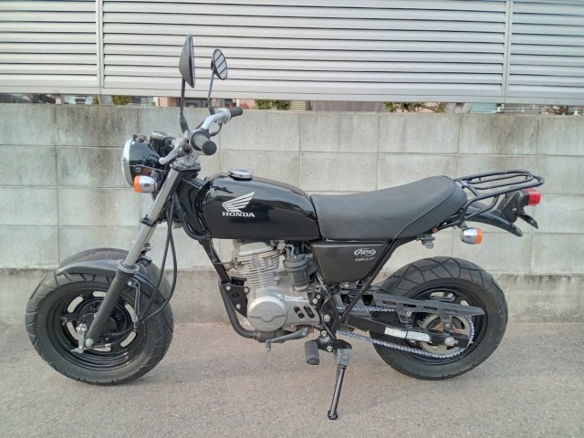 �z���_�G�C�v50�i�����������s�j�摜2