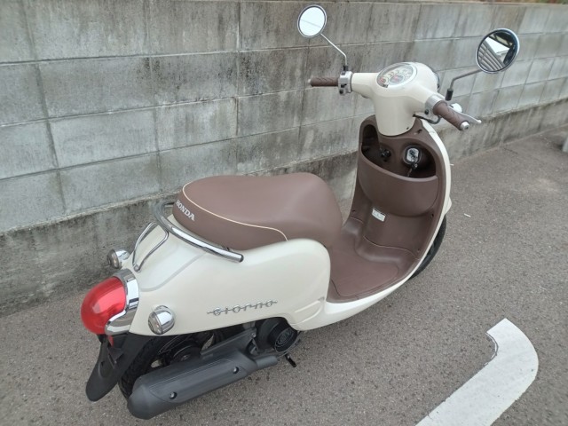 �z���_�W�����m�i�����������s�j�摜2