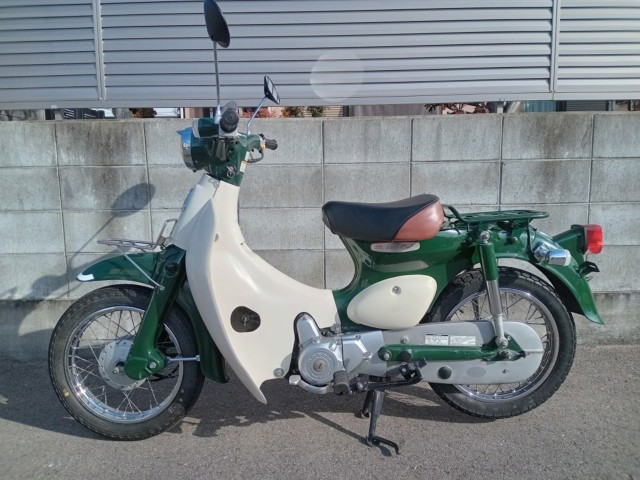 �z���_���g���J�u�i�����������s�j�摜4