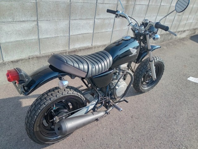 �z���_�G�C�v50�i�����������s�j�摜4