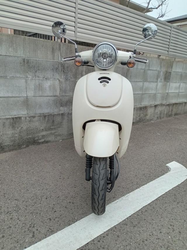 �z���_�W�����m�i�����������s�j�摜3