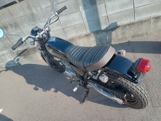 �z���_�G�C�v50�i�����������s�j�摜6