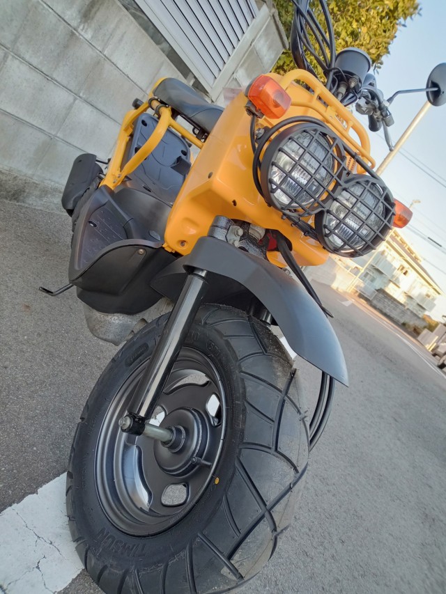 �z���_�Y�[�}�[�i�����������s�j�摜8