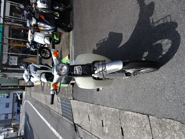 �z���_���g���J�u�i���m���h�юs�j�摜3