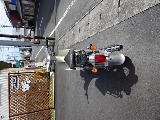 �z���_���g���J�u�i���m���h�юs�j�摜4