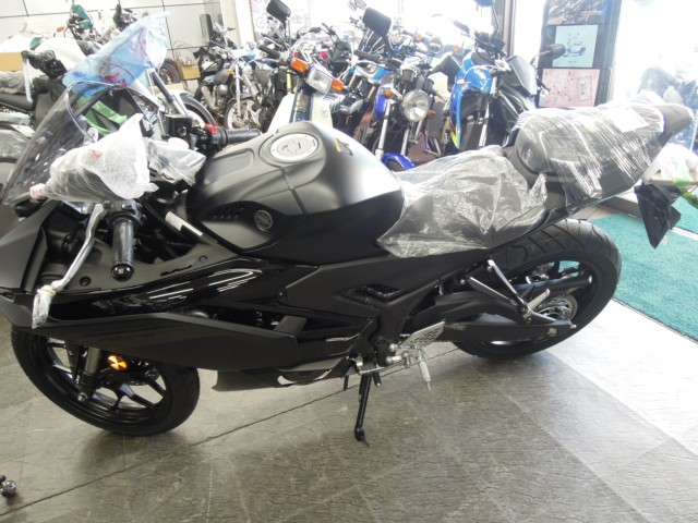 }nYZF-R25immsj摜2