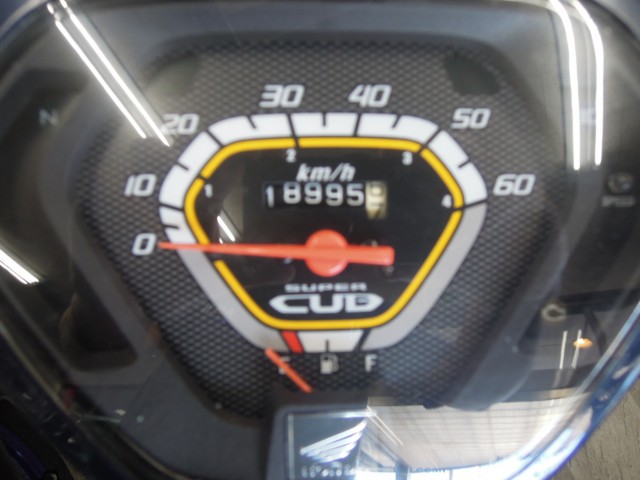 z_X[p[JuC50immsj摜2