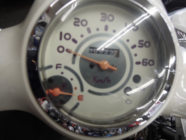 �z���_�W�����m�i���m�����m�s�j�摜3