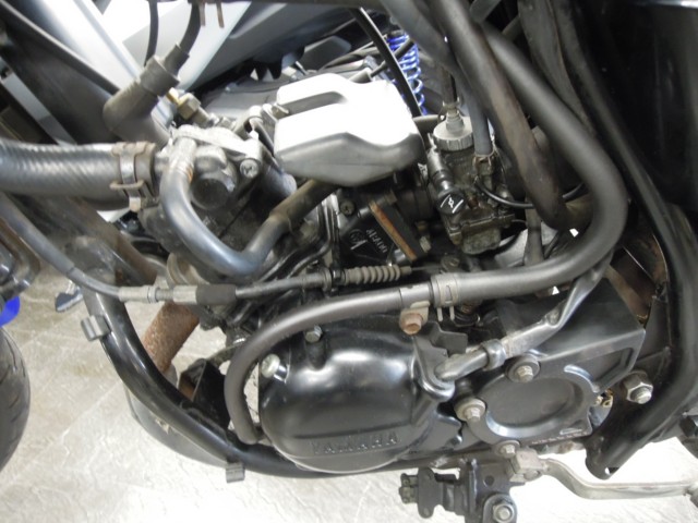 }nRZ50immsj摜7
