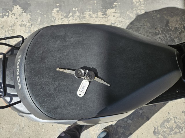 �z���_�^�N�g�E�x�[�V�b�N�i���m���y���s�j�摜6