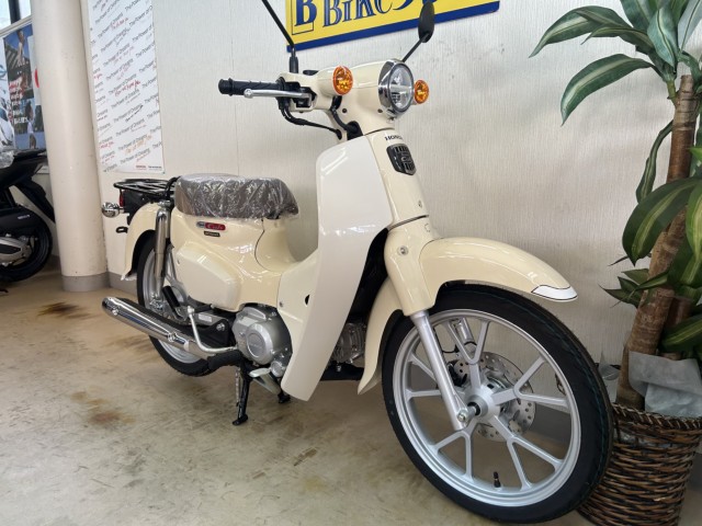 z_X[p[Ju110immsj摜2