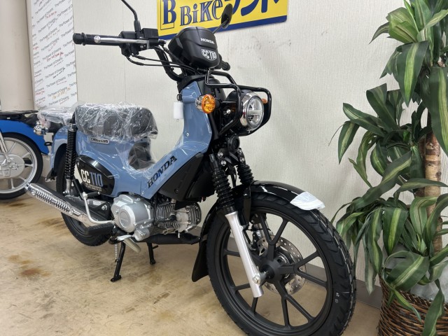 �z���_�N���X�J�u110�i���m�����m�s�j�摜2