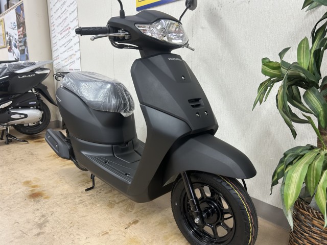 �z���_�^�N�g�i���m�����m�s�j�摜2