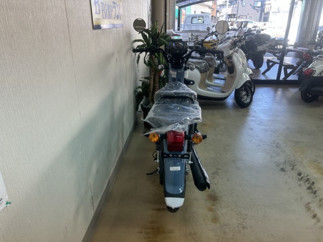 �z���_Cross Cub 110 Lite�i���m�����m�s�j�摜4