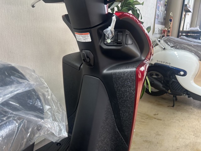 �z���_Dio110 Lite�i���m�����m�s�j�摜6