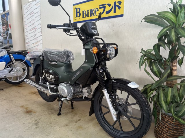 �z���_�N���X�J�u110�i���m�����m�s�j�摜2