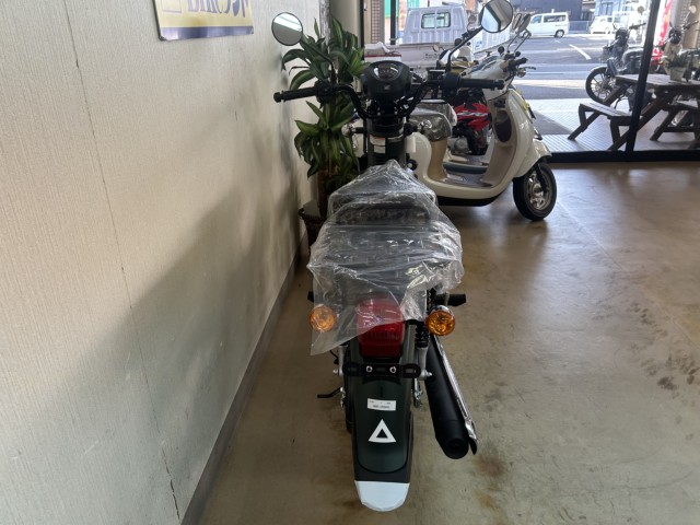 �z���_�N���X�J�u110�i���m�����m�s�j�摜4