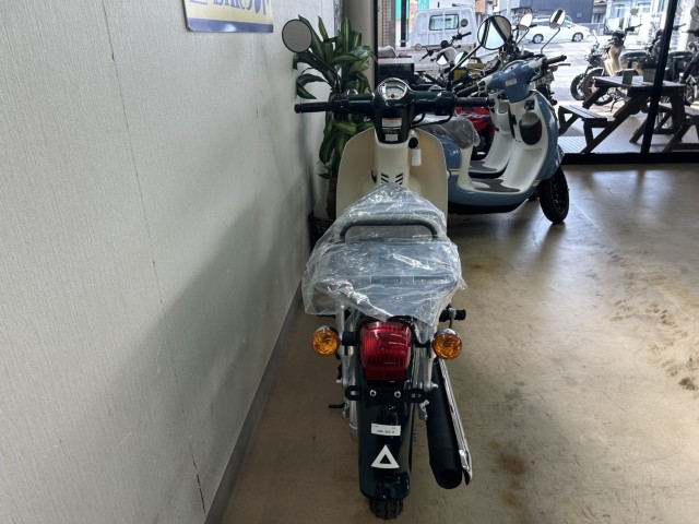 �z���_�X�[�p�[�J�u110�i���m�����m�s�j�摜4