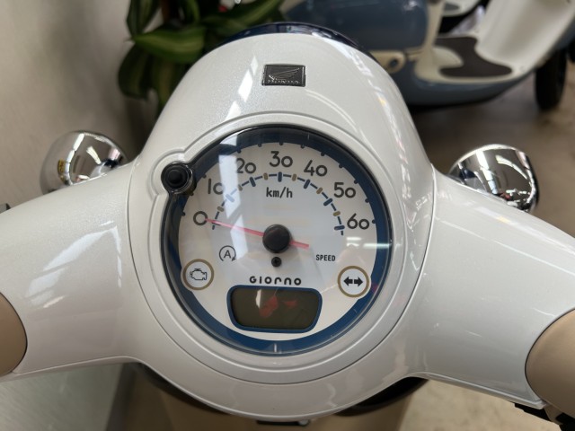 �z���_�W�����m�i���m�����m�s�j�摜3