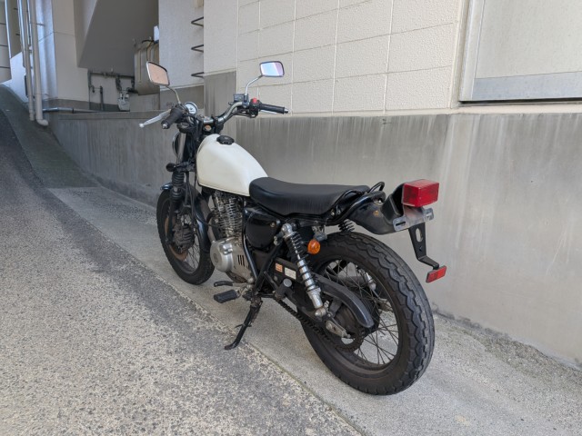 �X�Y�L�O���X�g���b�J�[�i���Q�����R�s�j�摜6