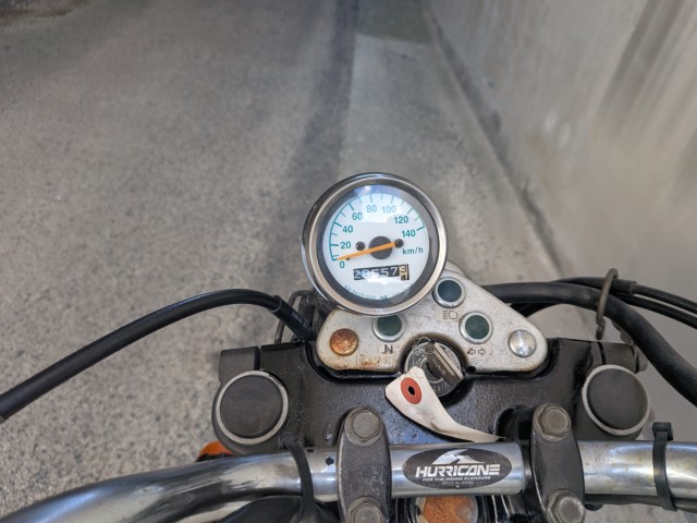 �X�Y�L�O���X�g���b�J�[�i���Q�����R�s�j�摜11