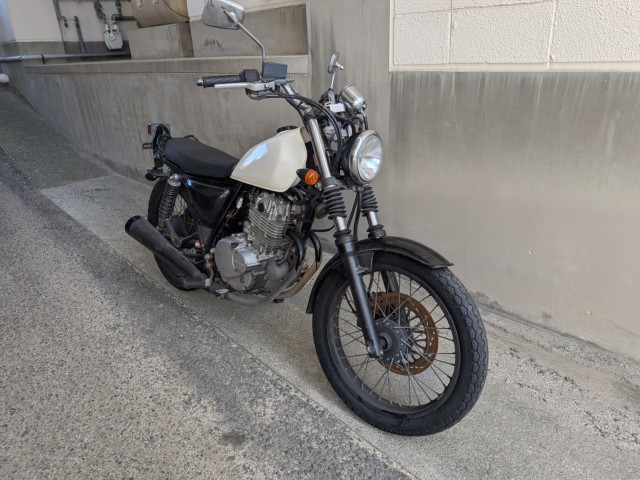 �X�Y�L�O���X�g���b�J�[�i���Q�����R�s�j�摜2