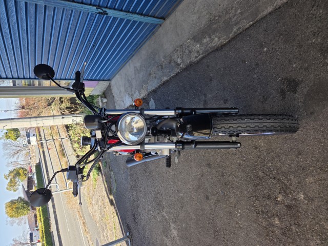 �X�Y�L�O���X�g���b�J�[�i���Q�����R�s�j�摜2