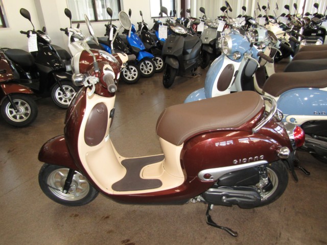 �z���_�W�����m�i���Q�����R�s�j�摜2