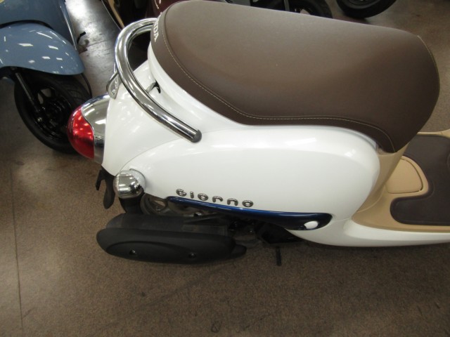 �z���_�W�����m�i���Q�����R�s�j�摜7