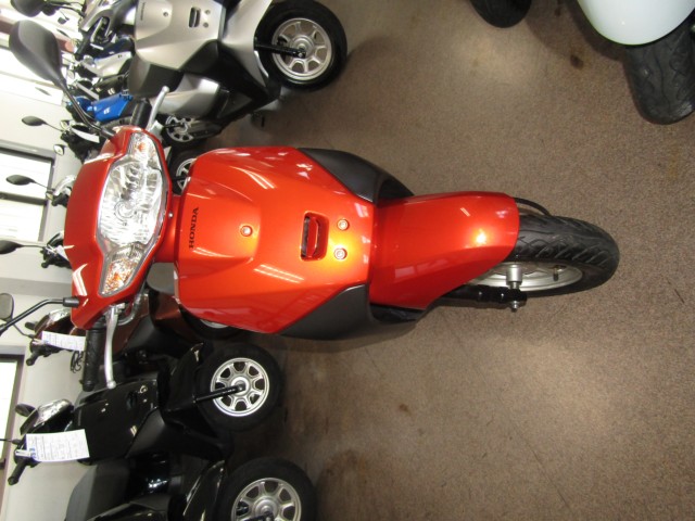 �z���_�^�N�g�E�x�[�V�b�N�i���Q�����R�s�j�摜3