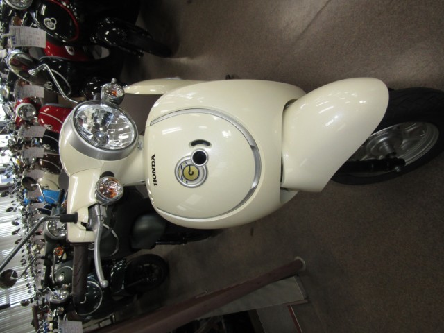 �z���_�W�����m�i���Q�����R�s�j�摜3