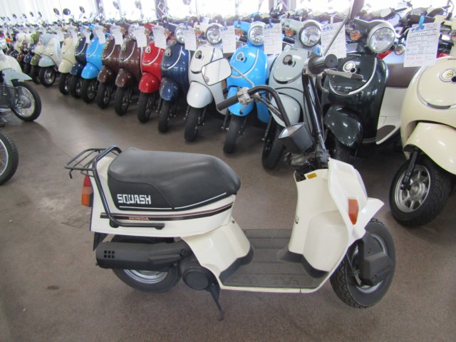 スカッシュ ｾﾙ付き(ホンダ) / 愛媛県 (有)モトランド宮内 中古バイク詳細 - 中古バイク探しはMjBIKEで！