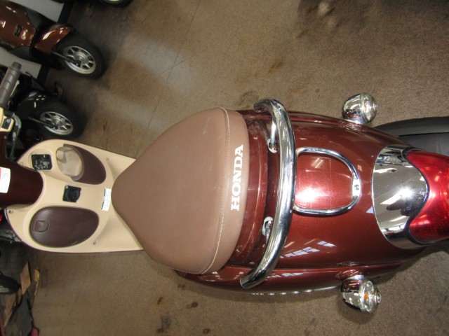 �z���_�W�����m�i���Q�����R�s�j�摜11