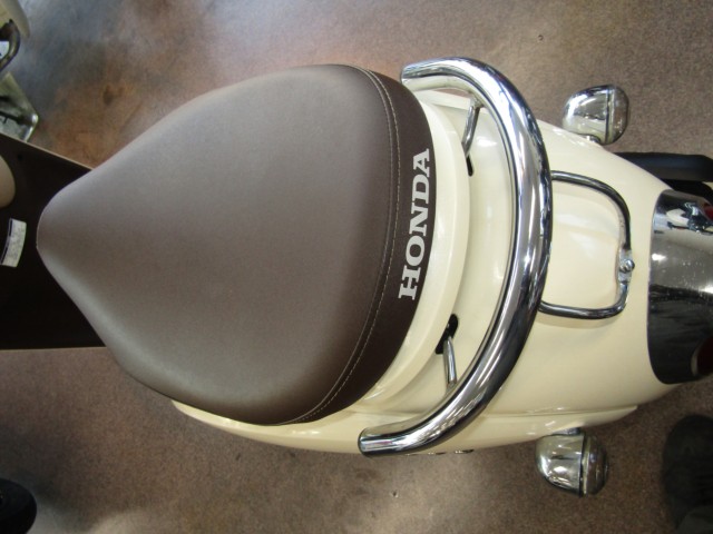 �z���_�W�����m�i���Q�����R�s�j�摜11