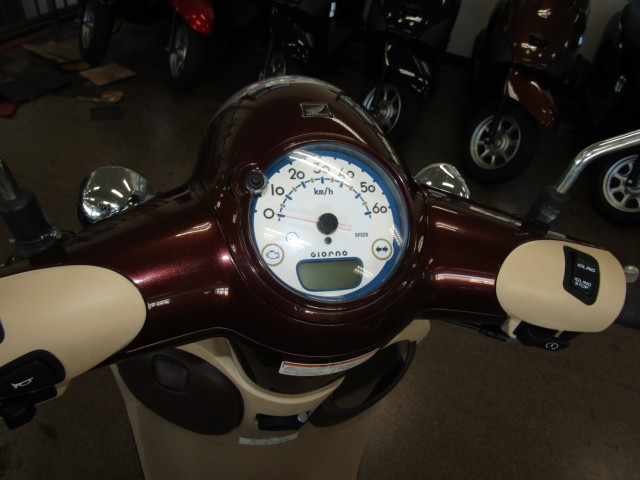 �z���_�W�����m�i���Q�����R�s�j�摜12