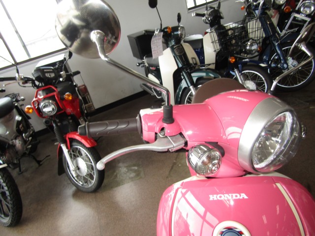 �z���_�W�����m�i���Q�����R�s�j�摜13