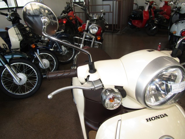 �z���_�W�����m�i���Q�����R�s�j�摜13