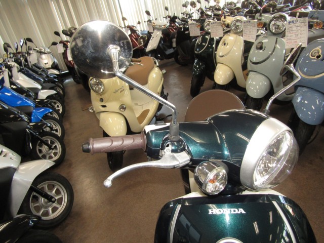 �z���_�W�����mDX�i���Q�����R�s�j�摜13