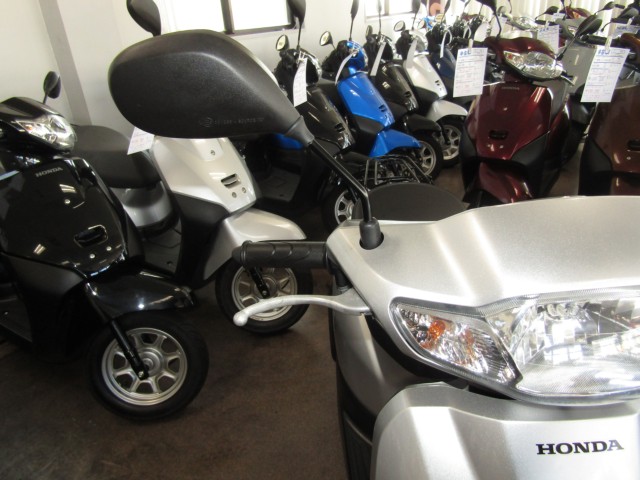 �z���_�^�N�g�E�x�[�V�b�N�i���Q�����R�s�j�摜13